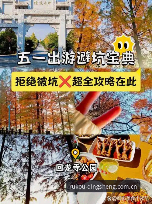 鼎盛体育平台安卓版深度评测：官网入口、实时比分与避坑指南